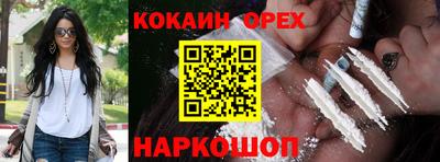 тгк Бердск