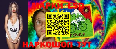 тгк Бердск