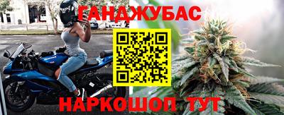 тгк Бердск