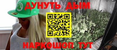 тгк Бердск