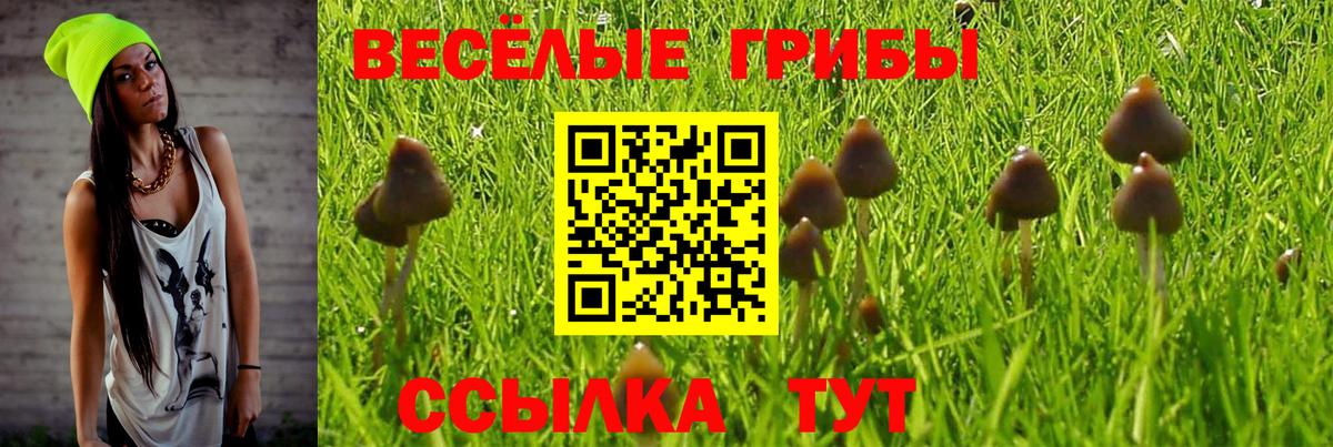 Владикавказ  Галлюциногенные грибы мухоморы  дарнет шоп  Вход с VPN 