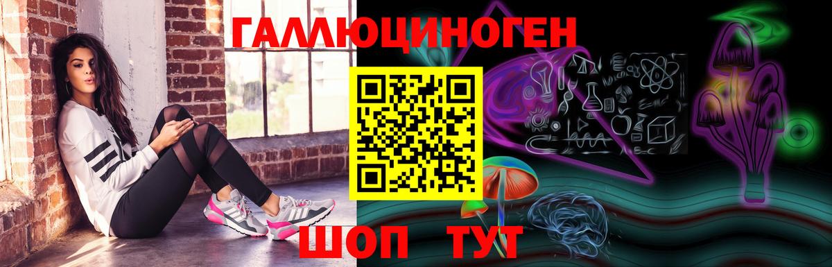 Псилоцибиновые грибы Cubensis Владикавказ